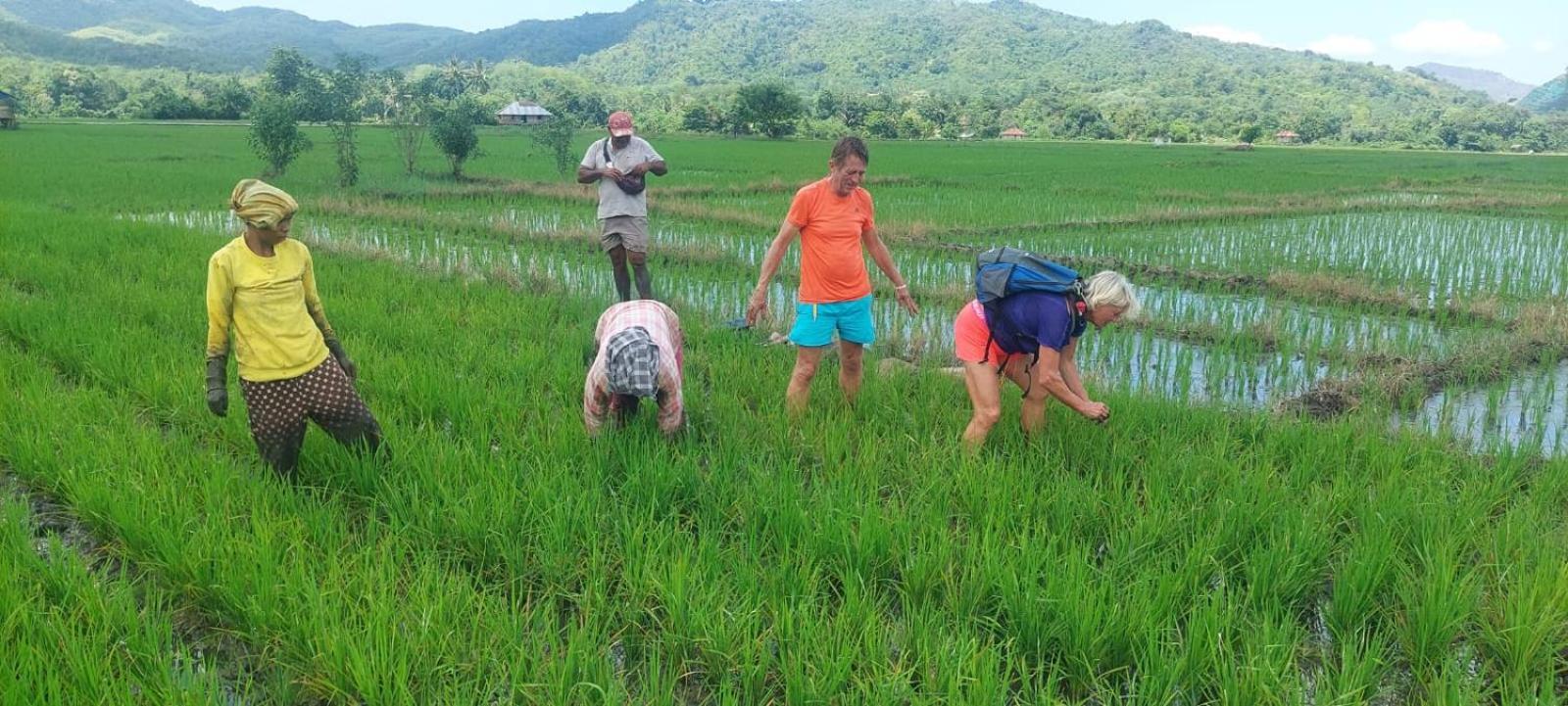 Inang Amang Homestay Labuan Bajo Zewnętrze zdjęcie